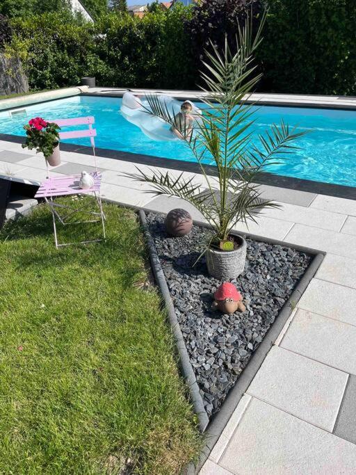 Le Gite Des Cigogneaux Schwenheim エクステリア 写真